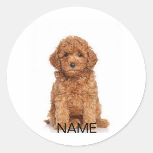 Pas personaliseren aan met foto's en namen ronde sticker