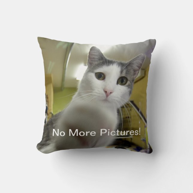 Pas plus de coussin de chat d'images (Recto)