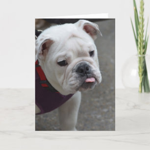 Pas Product aan Kaart