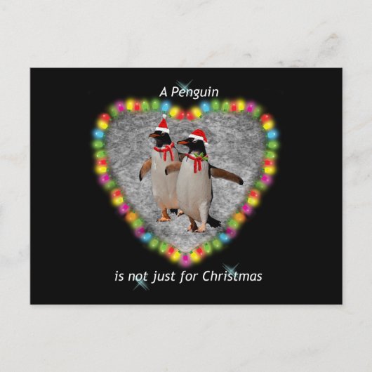 Pas seulement pour la carte postale de Noël (Devant)