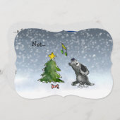 Pas... une carte de dessin pour chiens de Noël de  (Devant / Derrière)