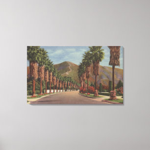 Pasadena, CA - Residental Street Scene & Palms Canvas Afdruk