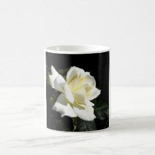 Pascali White hybride roos Koffiemok