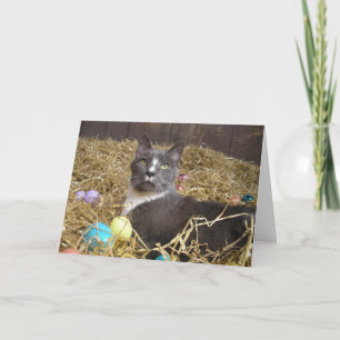 Pasen Bunny in Disguise Kaart