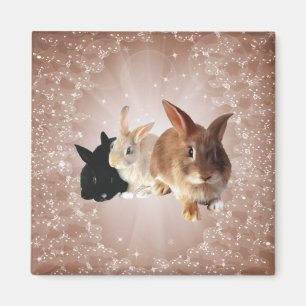 Pasen Bunny Magic Magnet Magneet