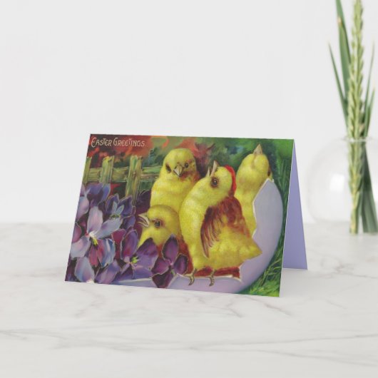 Pasen Chick Groeten Feestdagen Kaart (Voorkant)