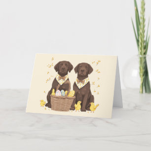 Pasen Chocolade Labrador Retriever Honden Feestdagen Kaart