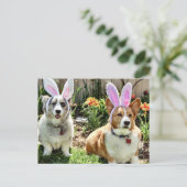 Pasen Corgis Feestdagenkaart (Staand voorkant)