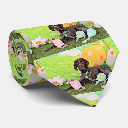 Pasen - Duitse Shorthair Pointer - Kaiser Stropdas (Opgerold)