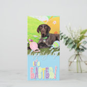 Pasen - Duitse Staander - Kaiser Feestdagenkaart (Staand voorkant)