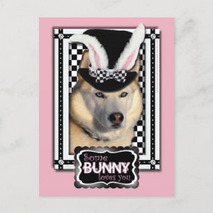 Pasen - een beetje Bunny houdt van je - Husky Feestdagenkaart