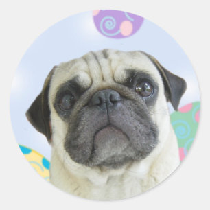 Pasen Groetjes pug Ronde Sticker