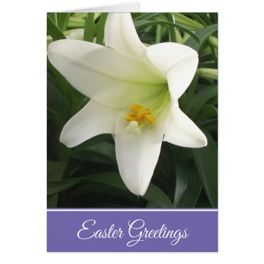 Pasen Kaart Pasen Lily (Voorkant)