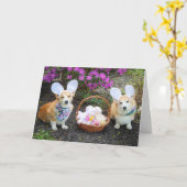 Pasen Konijn Corgis begroeting Kaart (Gele Bloem)