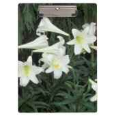 Pasen Lily (Lilium regale) Klembord (Voorkant)