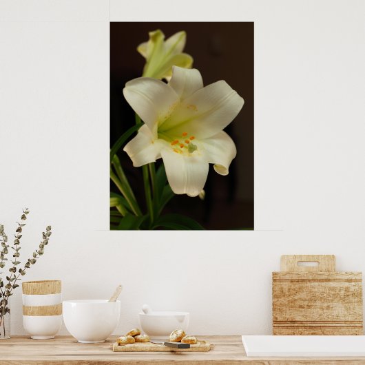 Pasen Lily Poster (Keuken)