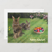 Pasen met kat-bundels;-) 😽 🐰 feestdagenkaart (Voorkant / Achterkant)