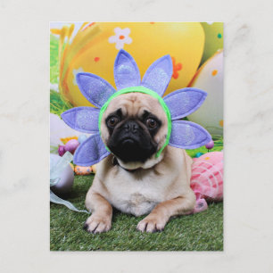 Pasen - Pug - Louie Feestdagenkaart