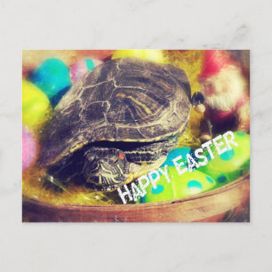 Pasen Schildpad Feestdagenkaart