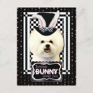 Pasen - Sommige Bunny houden van je - Bichon Frise Feestdagenkaart
