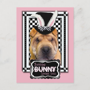 Pasen - Sommige Bunny houden van je - Shar Pei Feestdagenkaart