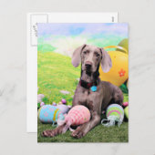 Pasen - Weimaraner - Ben Feestdagenkaart (Voorkant / Achterkant)