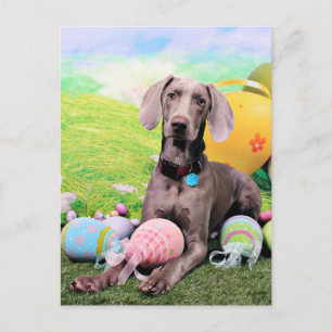 Pasen - Weimaraner - Ben Feestdagenkaart