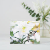 Pasen Zegen 1 Johannes 2:25 Bijbelvers Feestdagenkaart (Staand voorkant)