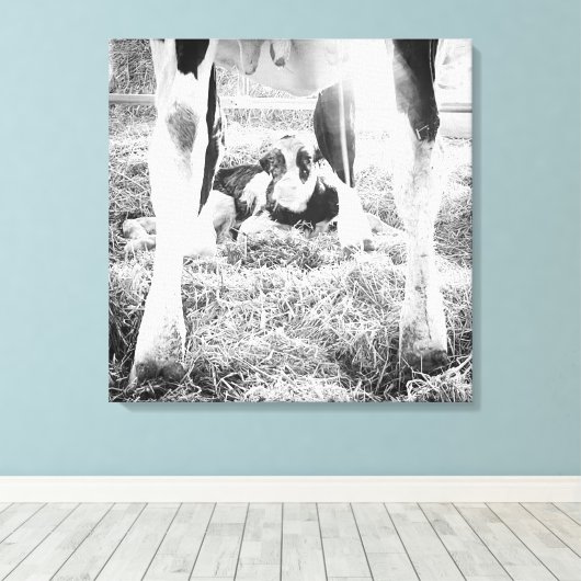Pasgeboren Holstein Calf Canvas Afdruk (Insitu (Houten vloer))