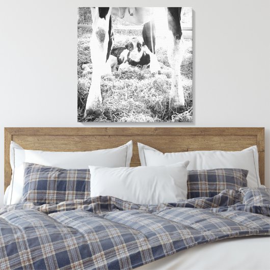 Pasgeboren Holstein Calf Canvas Afdruk (Insitu (Slaapkamer))