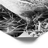 Pasgeboren Holstein Calf Perfect Poster (Hoek)