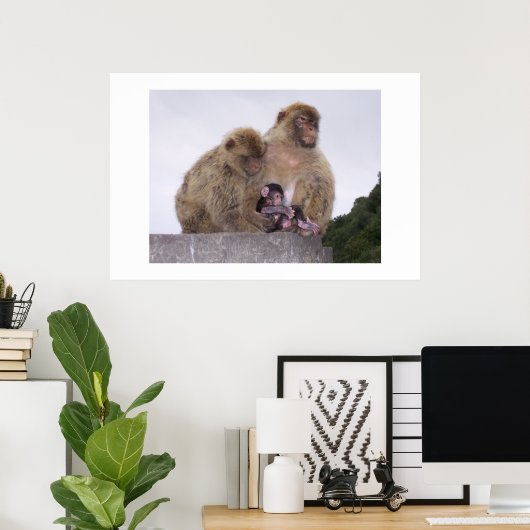 Pasgeboren Poster (Thuiskantoor)