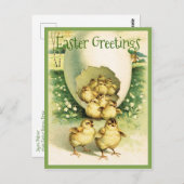  Pasgeborenen Briefkaart (Voorkant / Achterkant)