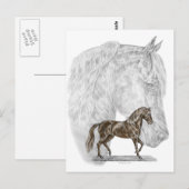 Paso Fino Horse Art Briefkaart (Voorkant / Achterkant)
