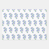 Paspoortjes en -eieren in lavender, blauw en groen inpakpapier vel (Voorkant)