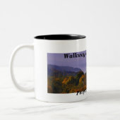 Passage couvert au-dessus de la tasse du Hudson (Gauche)