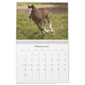 Passage Creek Boerderij Agenda 2009 Kalender (Feb 2027)