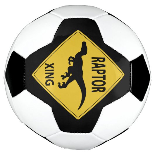 Passage de Raptor (Tourné)