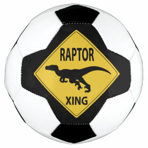 Passage de Raptor