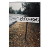 passage des tortues (Devant)