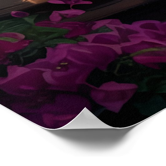 Passage of Serenity Poster (Hoek)