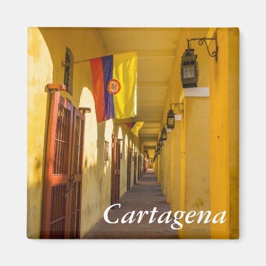 Passageway and Flags Magneet (Voorkant)