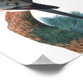 Passagiersduif - Ectopistes migratorius P/folio Poster (Hoek)