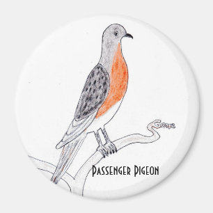 Passagiersduif ijskast magneet