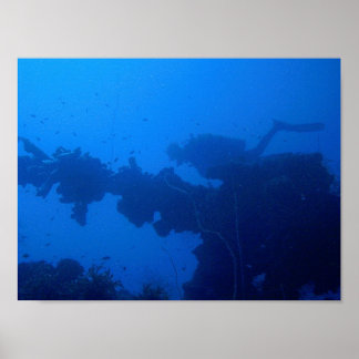 Passende duiker poster