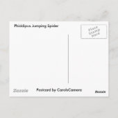 Passende Punten van de Reeks van de Spin van Briefkaart (Achterkant)