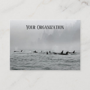 Passende walvissen visitekaartje