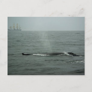 Passer Par Carte Postale