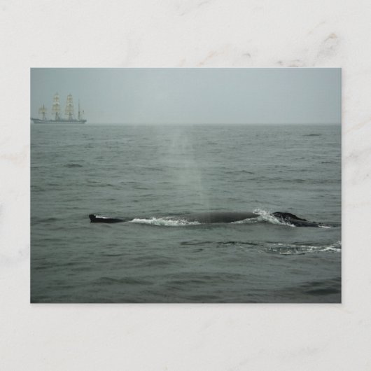 Passer Par Carte Postale (Devant)