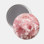 Passez Pale Rose Pavot Magnet (Recto/Verso)